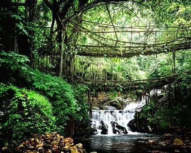 MEGHALAYA OFF BEAT TOUR - Image 2
